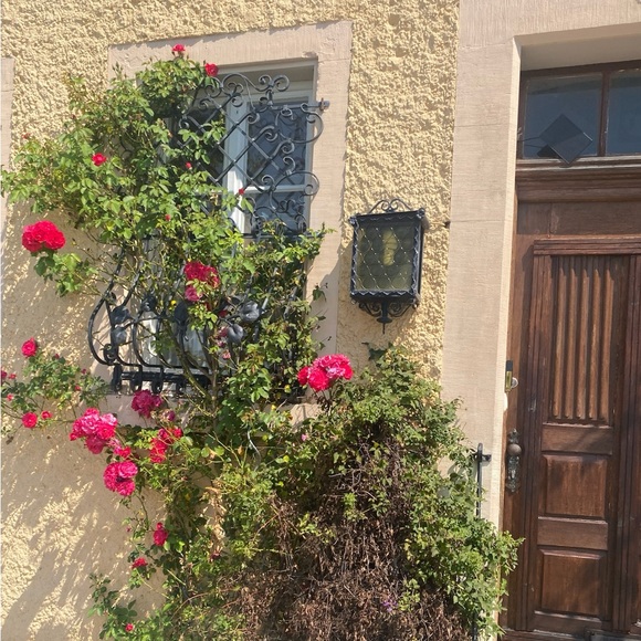 Meet your Posher, Isa - Picture 2 of 4